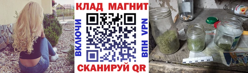 Где можно купить наркотики Выборг OMG ссылки  Псилоцибиновые грибы  Канабис  ГАШ  COCAIN 