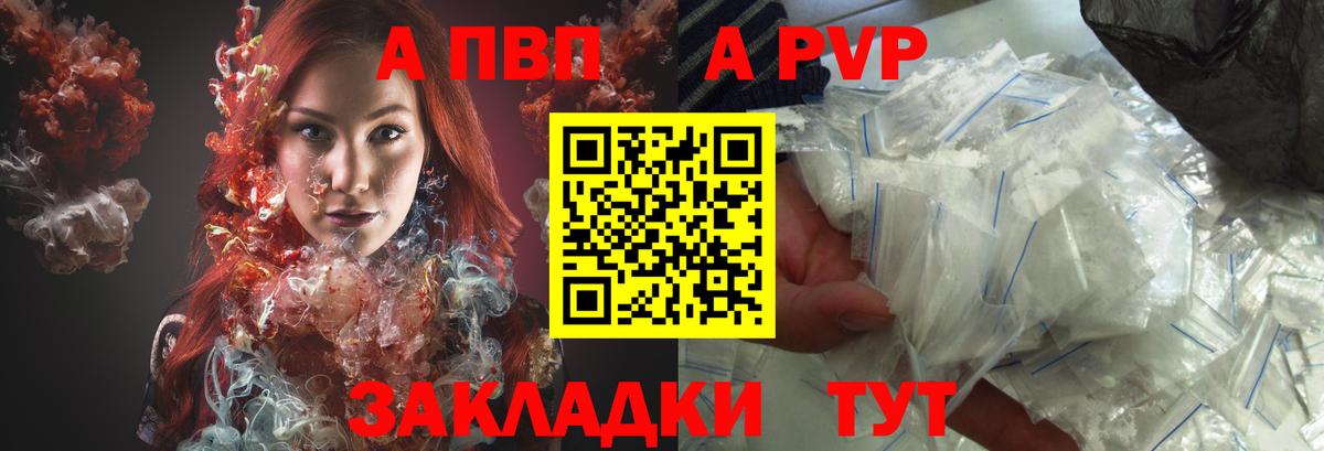 Альфа ПВП СК Выборг
