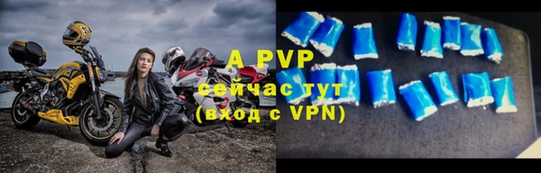 стафф Лабытнанги