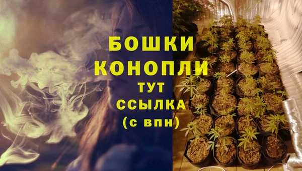 стафф Лабытнанги
