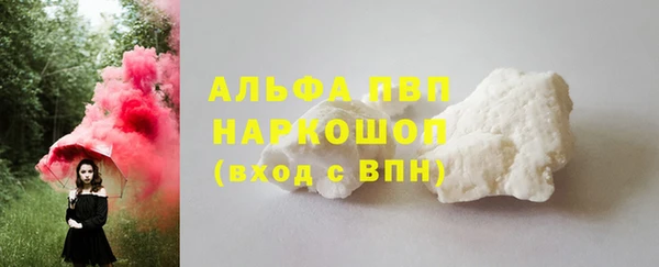 стафф Лабытнанги