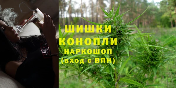 PSILOCYBIN Лагань