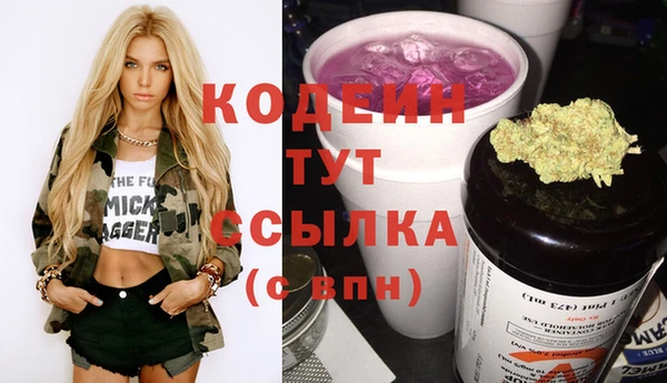 PSILOCYBIN Лагань