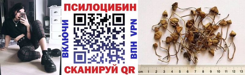 Галлюциногенные грибы Psilocybe Выборг