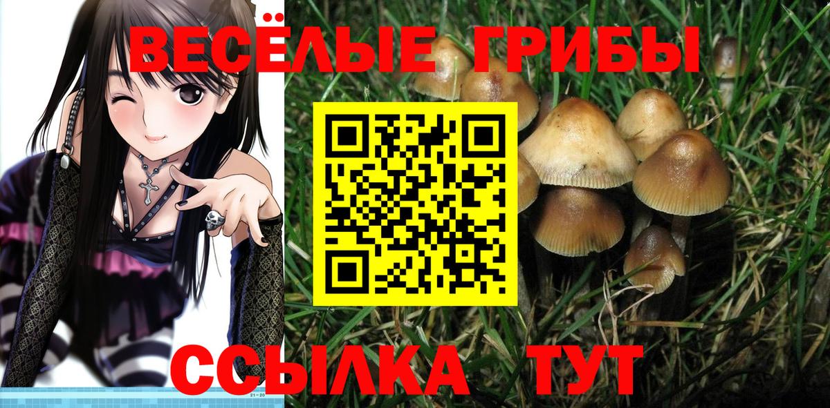 Псилоцибиновые грибы MAGIC MUSHROOMS  Выборг 
