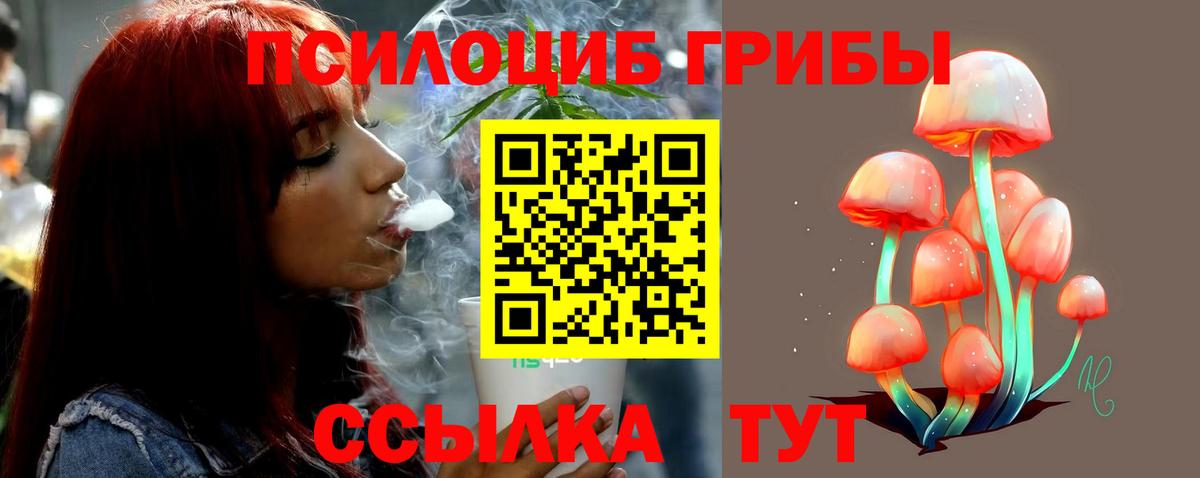 Псилоцибиновые грибы Psilocybe  Вход с VPN  Выборг  Псилоцибиновые грибы GOLDEN TEACHER 